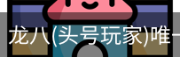 龙八头号玩家
